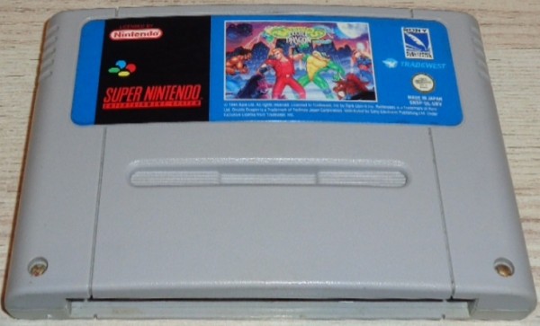 Battletoads: Double Dragon