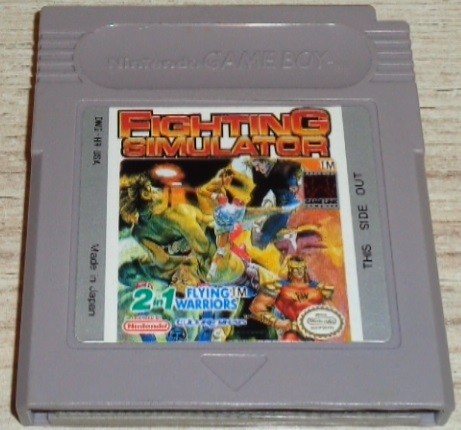 Fighting Simulator &amp; Flying Warriors