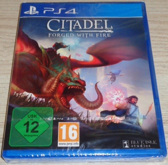 Citadel: Forged with Fire