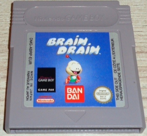 Brain Drain