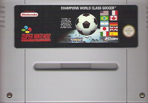 Champions World Class Soccer