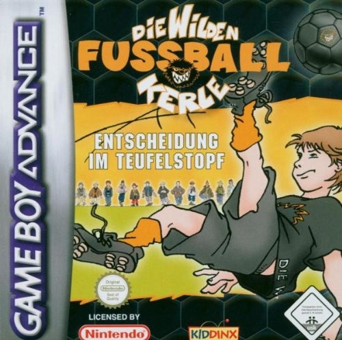 Die wilden Fussball Kerle