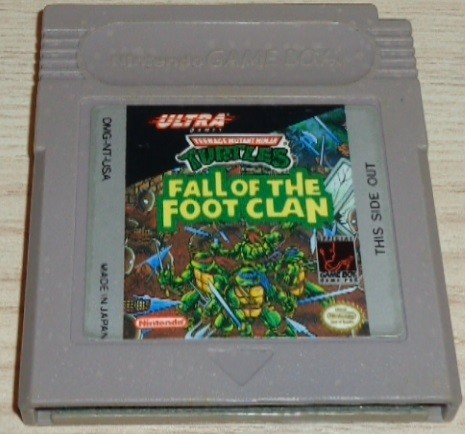 Turtles: Fall of the Foot Clan