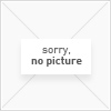 Supercross 2000